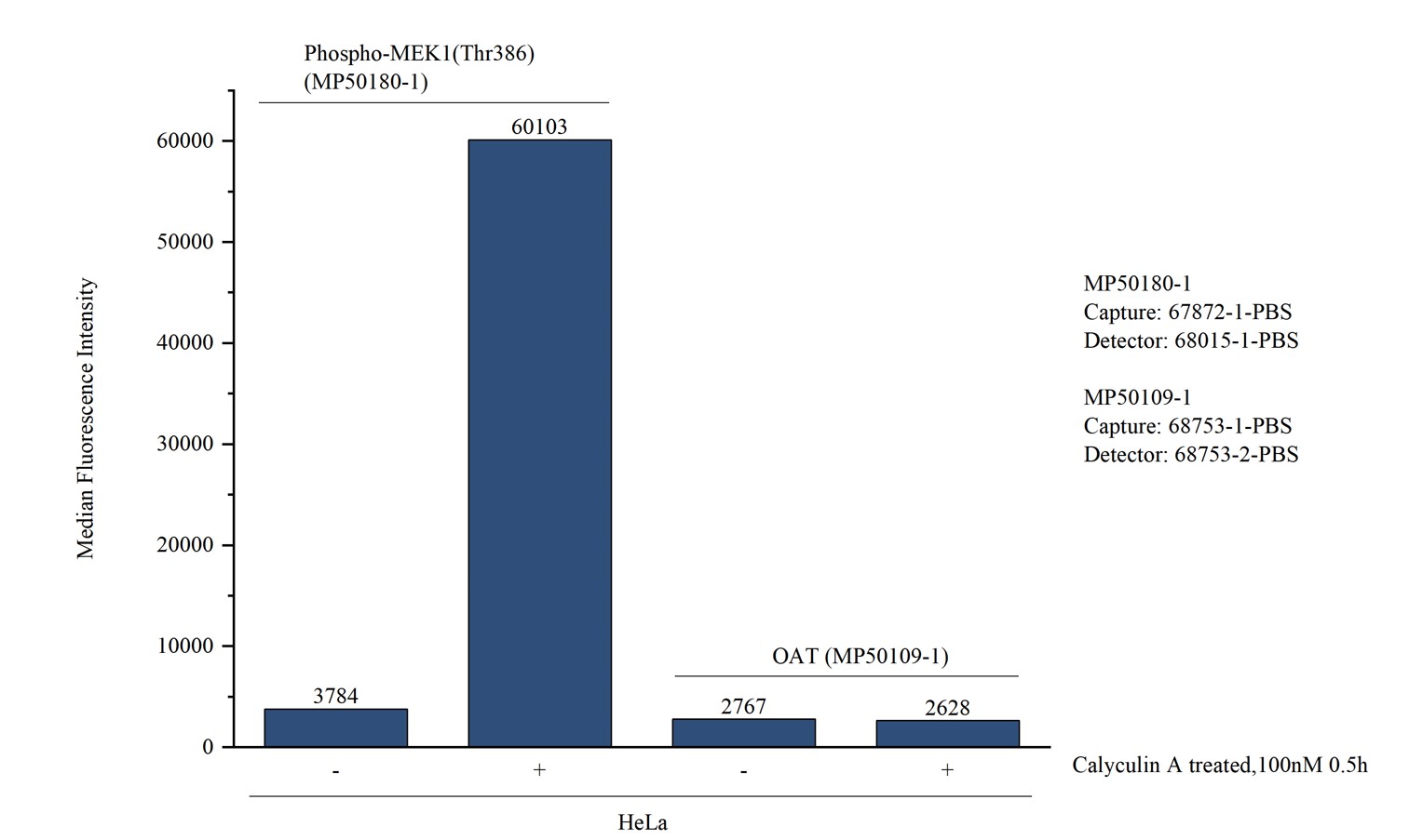 Cytometric bead array in cell lysate using MP50180-1